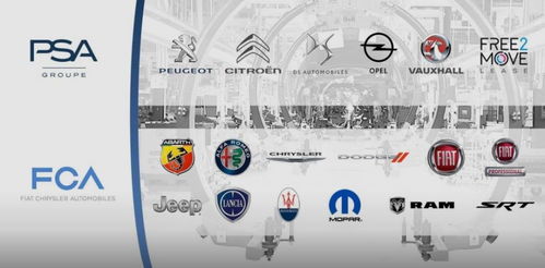 化妝品批發新路徑 開拓多元市場，提升品牌韌性