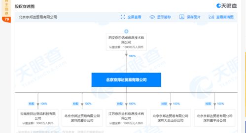 京東物流拓展全球版圖 新增國際貨運代理等業(yè)務(wù)，深化全鏈條服務(wù)能力
