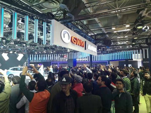 中國品牌揚帆出海，長城汽車領軍組團進軍印度市場