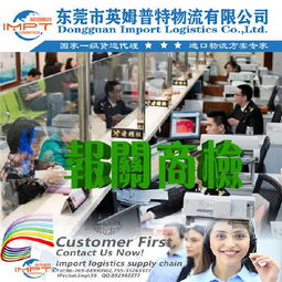 從美國進口家具 香港機場清關、代理報關與國內貿易代理全流程解析