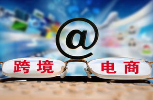 國際物流與國際貨運代理的區別解析——兼談國內貿易代理