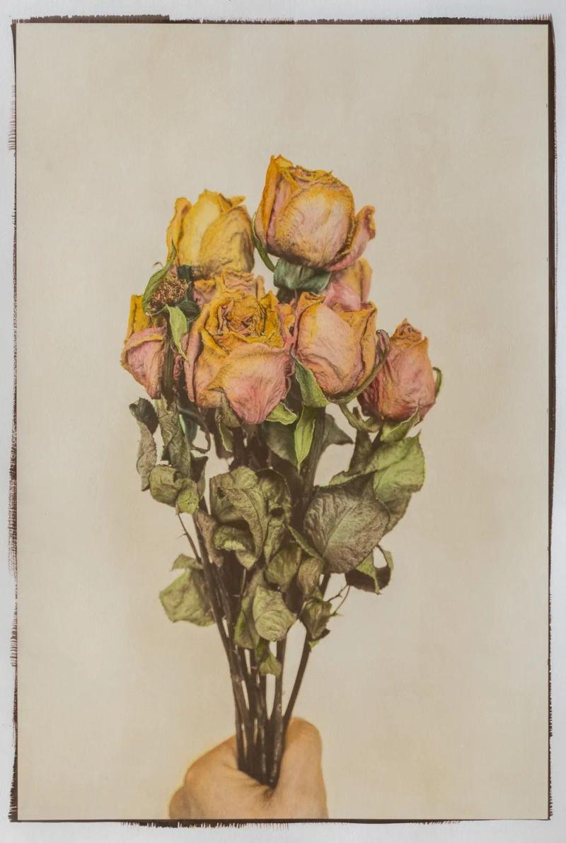 觸摸手工制作影像的溫度——“房景楠手工印相作品展”亮相深圳美術館